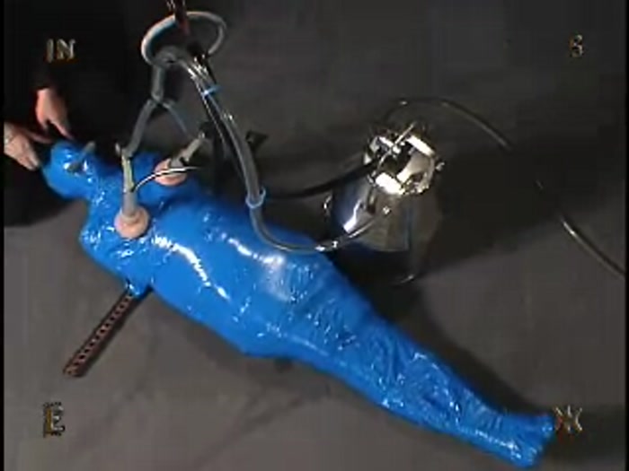 Torture milking machine (Insex - Spacegirl, Donna)