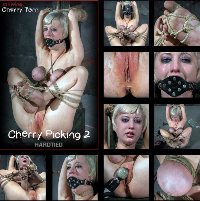 20200610 HardTied - Cherry Picking II, Cherry Torn