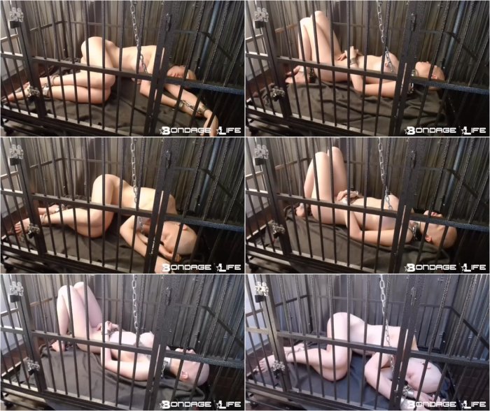 Bondage Life livecam 02-24-2018 sleep cage