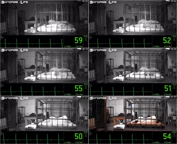 Bondage Life livecam 05-30-2018 sleep patient monitor