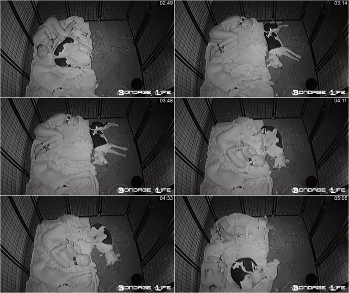 Bondage Life livecam 06-03-2018 sleep