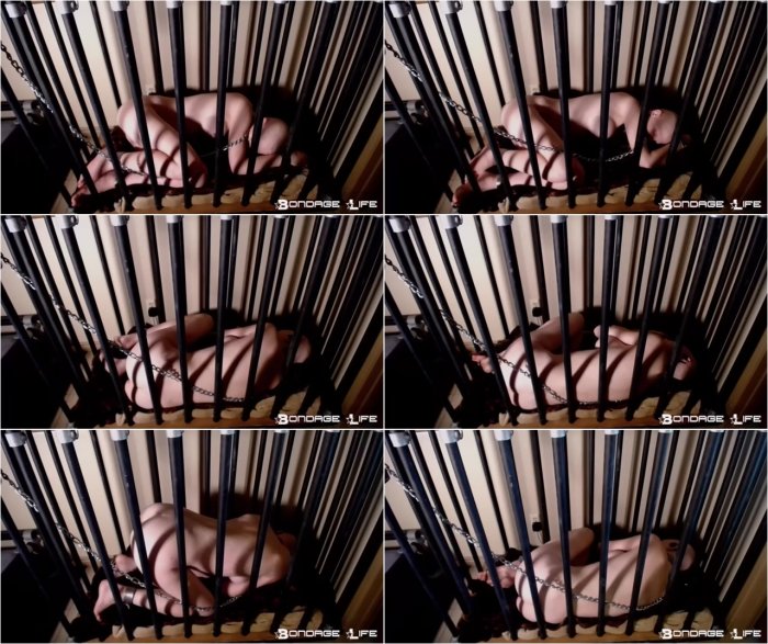 Bondage Life livecam 10 06 17 sleep cage