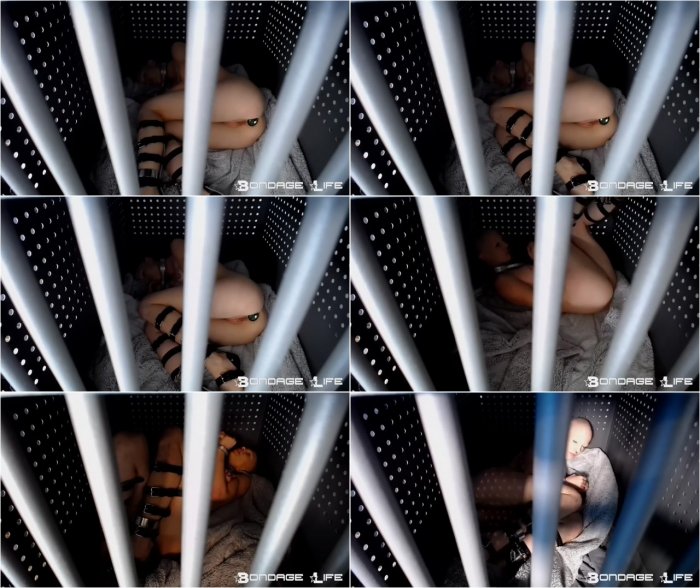 Bondage Life livecam 11-14-2018 lunch extended