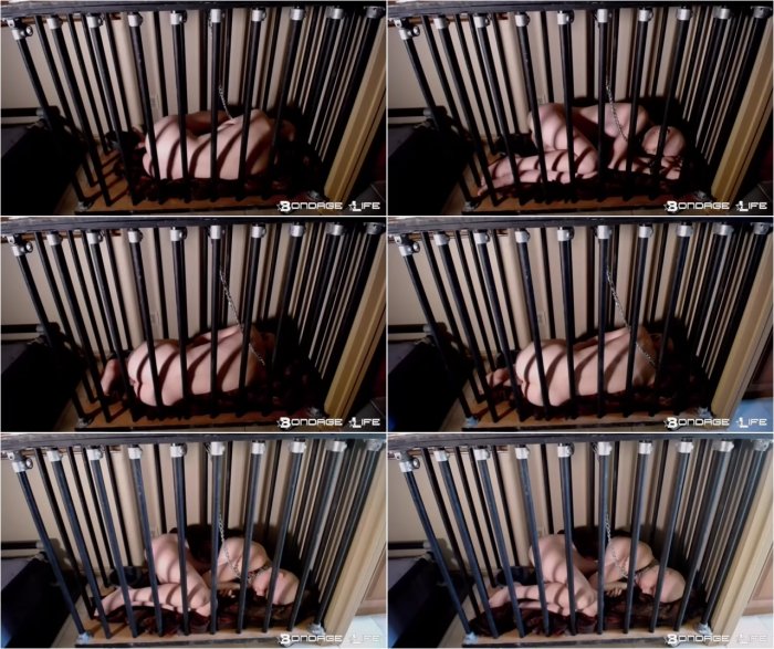 Bondage Life livecam 10 11 17 sleep cage