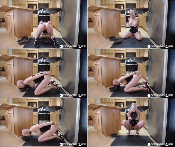 Bondage Life livecam 11-16-17 lunch
