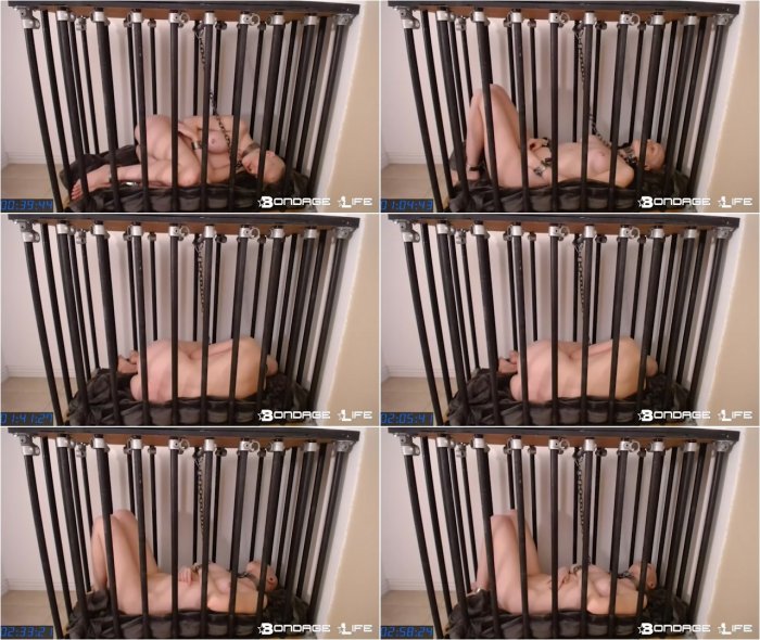Bondage Life livecam 11-28-17 sleep