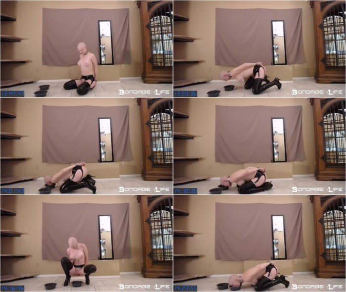Bondage Life livecam 11-24-17 lunch